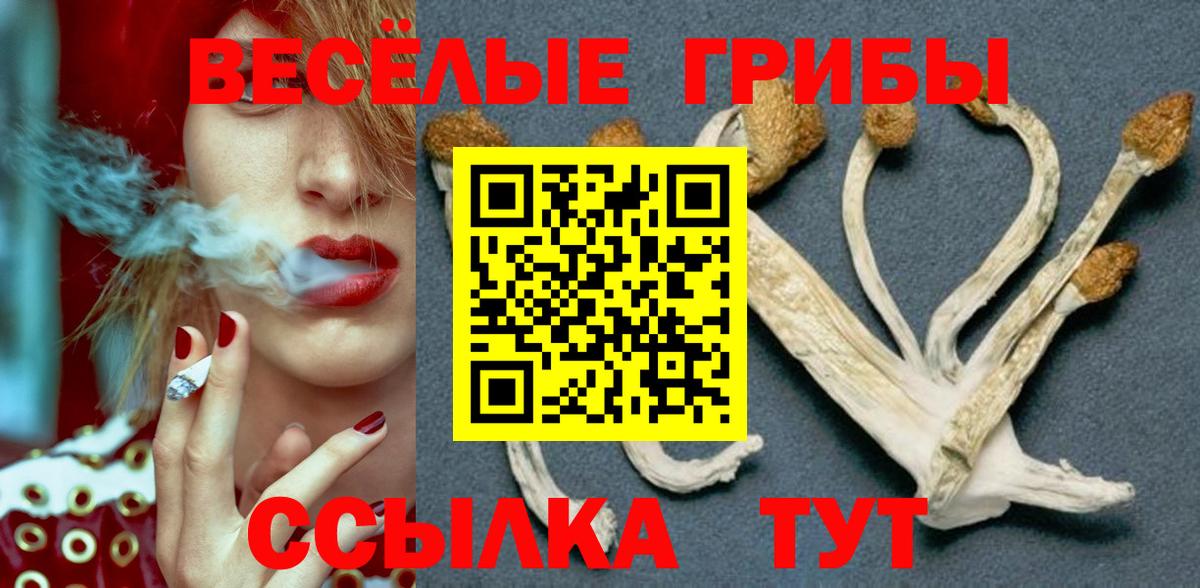Псилоцибиновые грибы Psilocybine cubensis Кимовск