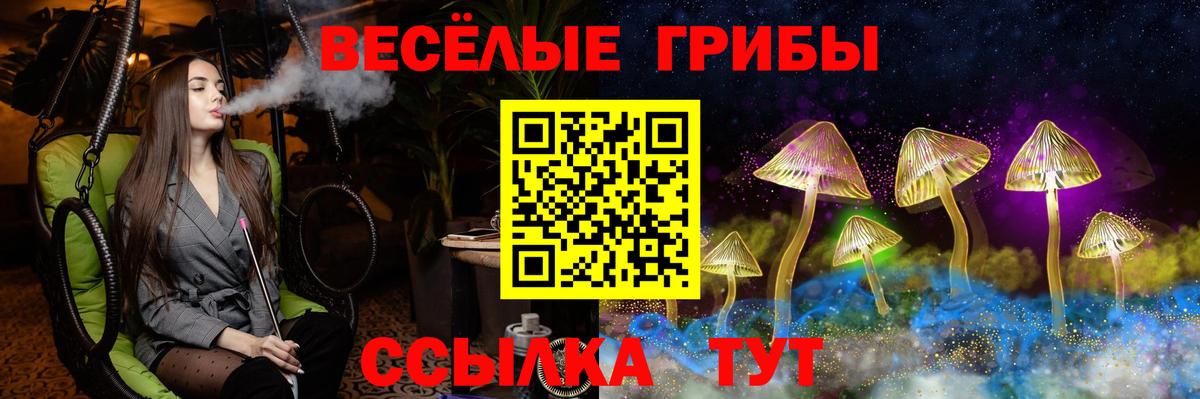 Кимовск  Галлюциногенные грибы Psilocybine cubensis  Псилоцибиновые грибы прущие грибы  Вход с VPN 